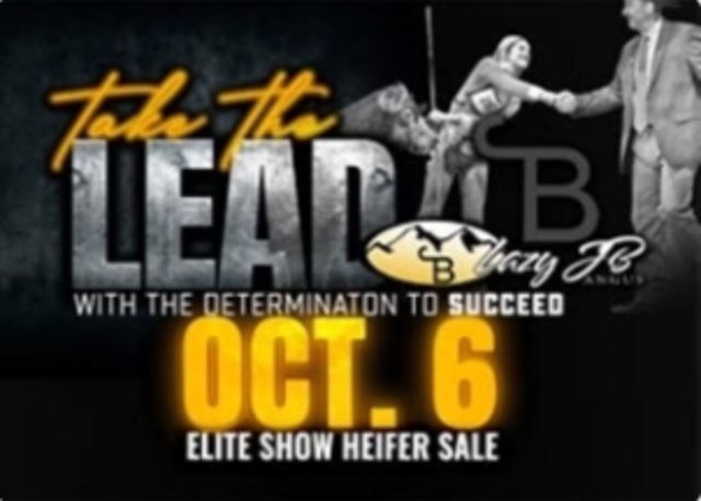 JB's Dog Sale