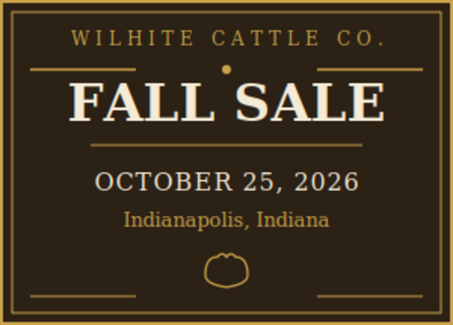 Emily's Cattle Sale