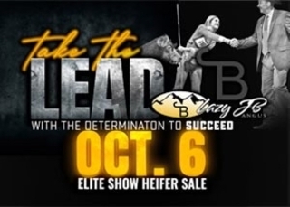 JB's Cattle Sale
