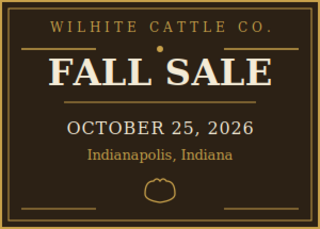 Emily's Cattle Sale