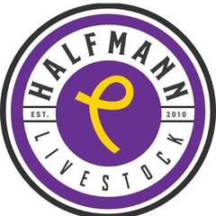 Halfmann Online Goat Sale - IL